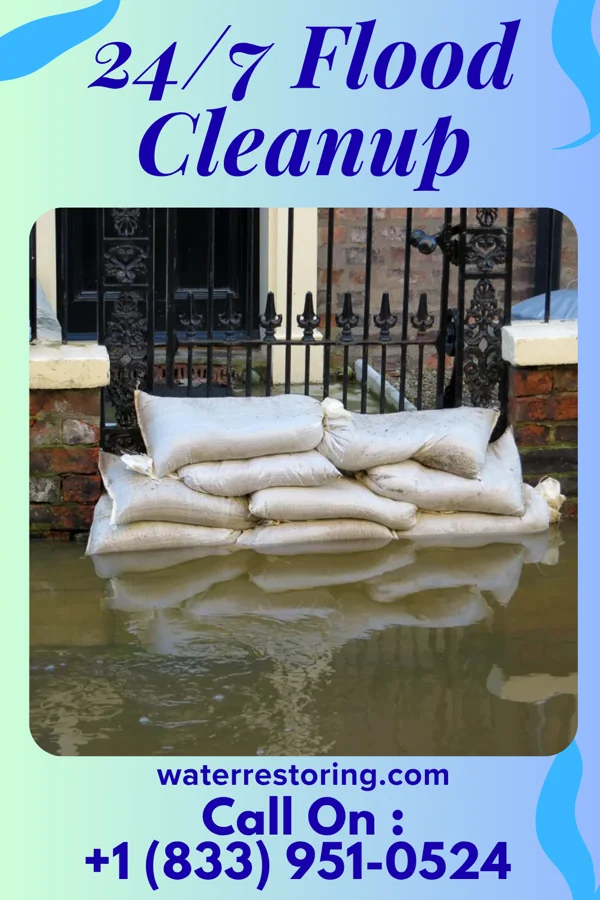 24/7 Flood Cleanup in Vaiden, MS