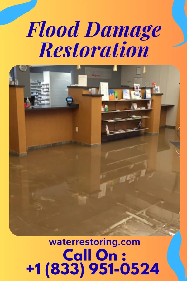 Flood Damage Restoration in Vaiden, MS