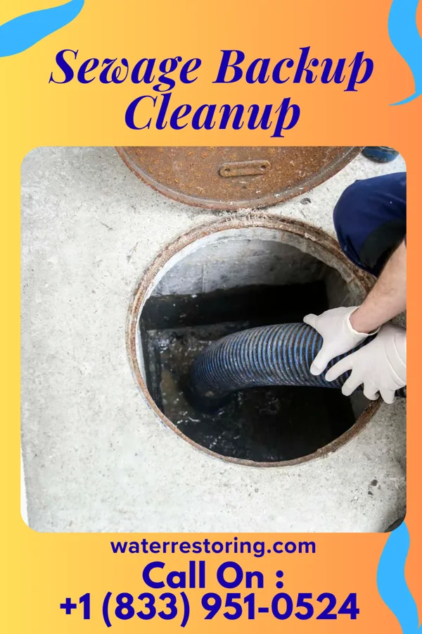 Sewage Backup Cleanup in Vaiden, MS