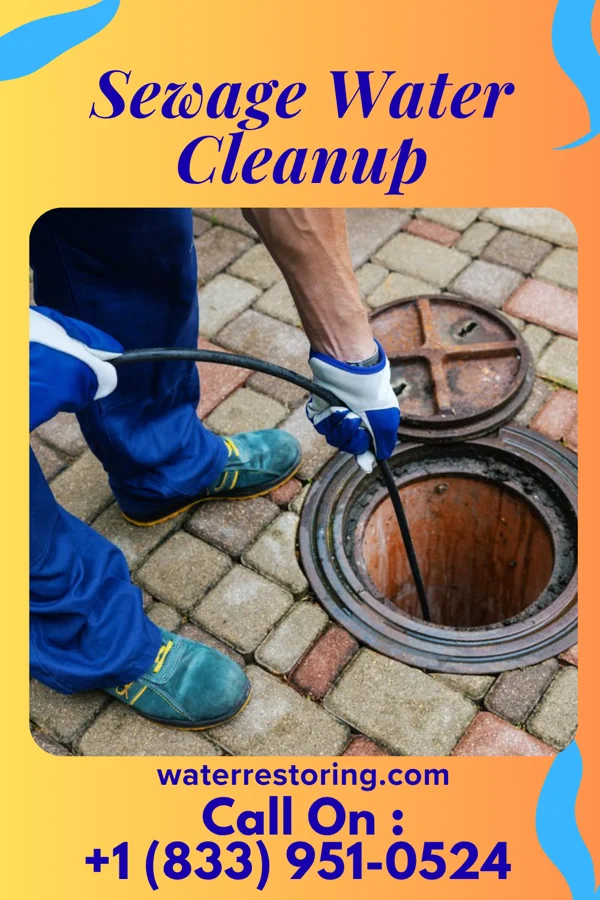 Sewage Water Cleanup in Vaiden, MS